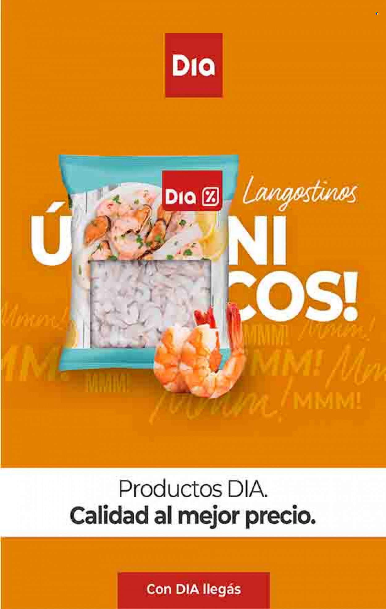 Catálogo Supermercado Dia  - 24.11.2022 - 30.11.2022. Página 44.