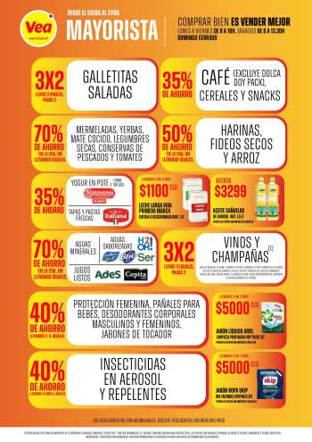 Folleto actual Vea - 05/05/25 - 17/05/25.