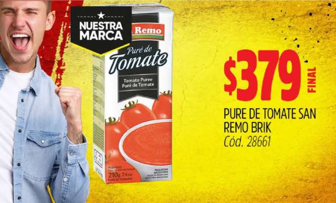 Pure de Tomate San Remo Brik