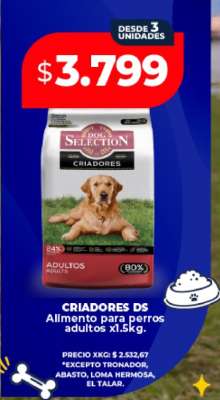 CRIADORES DS